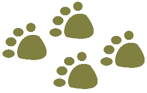 Rätsel